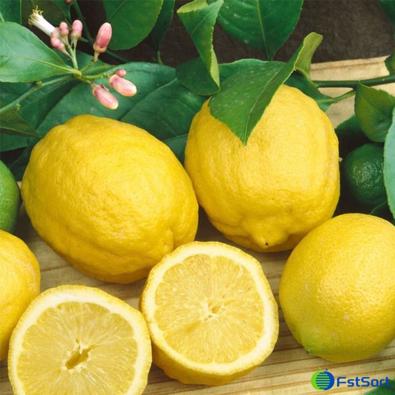 images/1715673817206lemon fruit.jpg